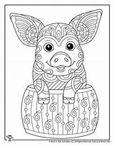 Coloring Hard Cute Pig Pages Difficult Adults Kids Animal Teens Print sketch template