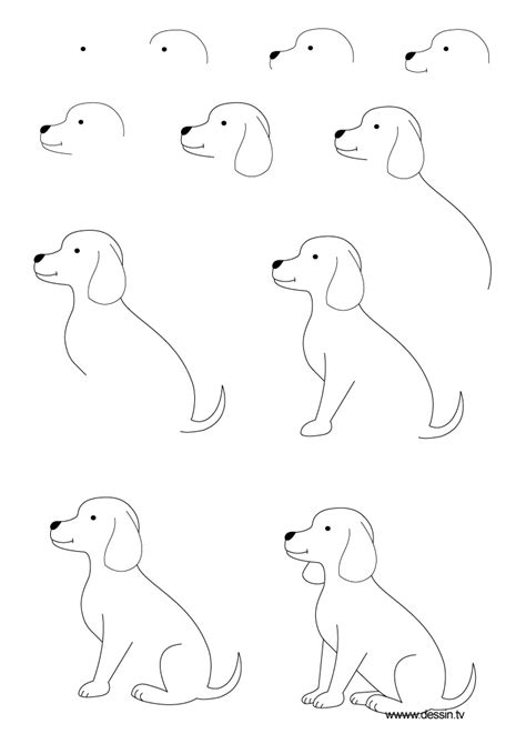 drawing puppy