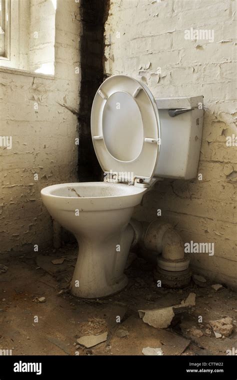 dolmetscher rolle verleumden alte wc schuessel rand einzig und allein