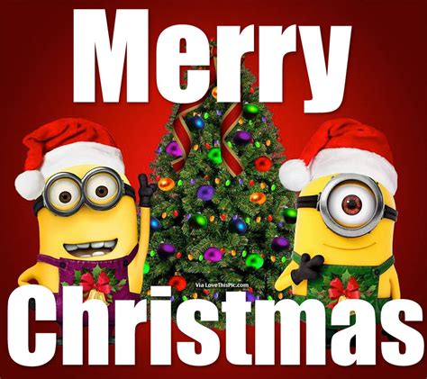merry christmas minions pictures   images  facebook