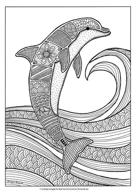 dolphin coloring pages dolphin coloring pages summer coloring pages