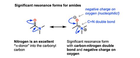 amide hydrolysis  acid  base master organic chemistry