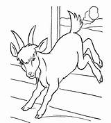 Coloring Goat Pages Cute sketch template