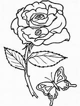 Coloring Pages Roses Printable Rose Kids sketch template