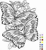 Coloriage Magique Imprimer Coloring Papillion Pages Papillon Ligne Colorier Pour Ce2 Dessins Sheets Butterfly Info sketch template
