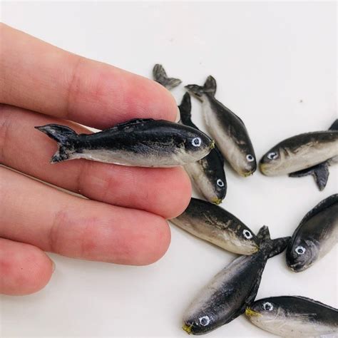 miniature fish material clay polymer quantity  pieces length  mm note