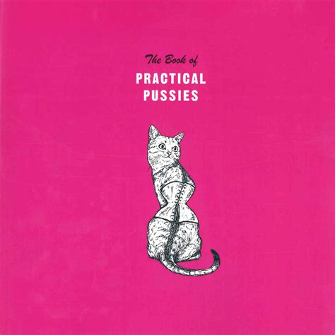 the book of practical pussies paperback michelle rollman small