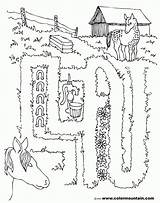 Coloring Activity Horse Maze Popular sketch template