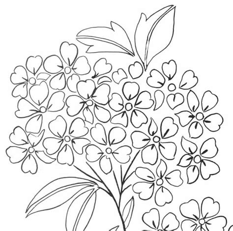 flowers colouring images  pinterest flower drawings