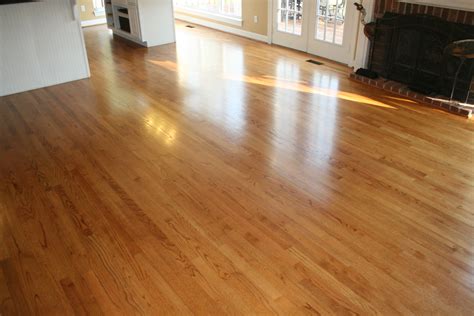 floors    buff coat hardwood floor renewal