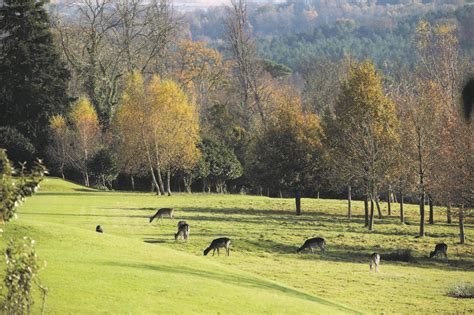 ashdown park hotel  host sussex wildlife trust year long residency