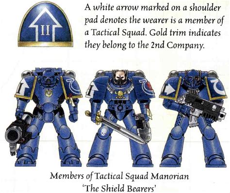 sammeln seltenes rollenspiele tabletops space marine tactical squad