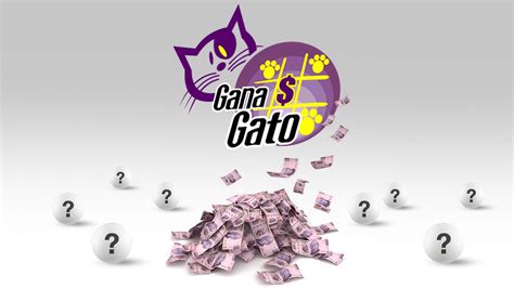 Lotería Nacional Dónde Ver El Gana Gato En Vivo Y La Lista De
