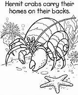 Crab Coloring Pages Hermit Eric Carle Printable Grade Crabs 5th Color Kids House Sheets Drawing Colouring Georgia Starfish Bulldogs Joshua sketch template