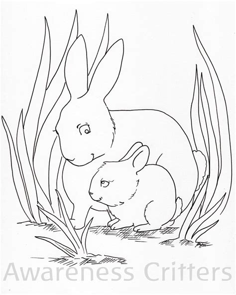 animal family coloring page packet etsy