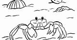 Crab Ghost Coloring Drawing Easy Template Sketch Drawings Getdrawings Designlooter Blue Medium sketch template