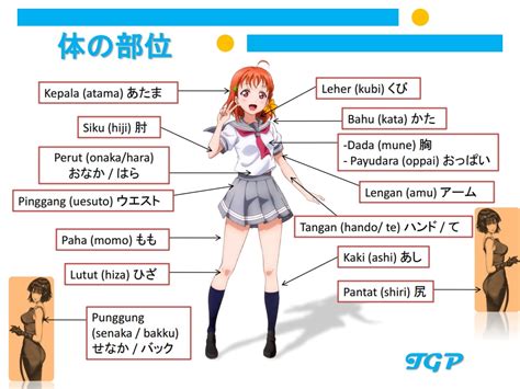 Kosakata Anggota Tubuh Bahasa Jepang Konsultan Belajar