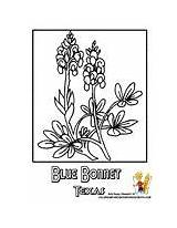 Coloring Pages Yescoloring Flower sketch template