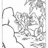 Gorilla Coloring Pages Baby Printable Color Getdrawings Alligator Getcolorings sketch template