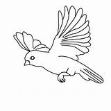 Flying Bird Coloring Drawing Pages Parrot Simple Print Birds Amazing Kids Color Flight Cartoon Sparrow Floating Sketch Cute Owl Printable sketch template