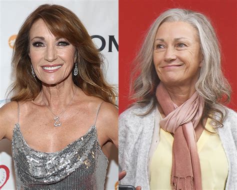 Jane Seymour Rocks A Grey Hair Makeover See Before