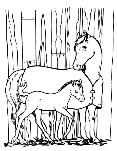 horse  pony coloring page  printable coloring page coloring home