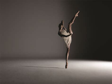 a beautiful dance world ballet day flickr blog