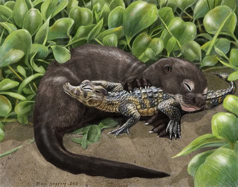 giant river otter pup and his caiman buddy by psithyrus on