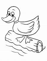 Coloring Pages Duckling Cartoon Duck Baby Library Clipart Printable Colour Drawings Cute sketch template
