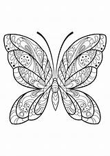 Papillon Papillons Insetti Adulti Farfalle Motifs Erwachsene Jolis Insectes Butterflies Insekten Malbuch Insects Insect Superbes Justcolor Disegn Tribali sketch template