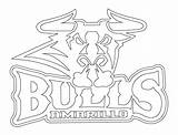 Chicago Bulls Coloring Pages Printable Bull Bears Print Basketball Getcolorings sketch template