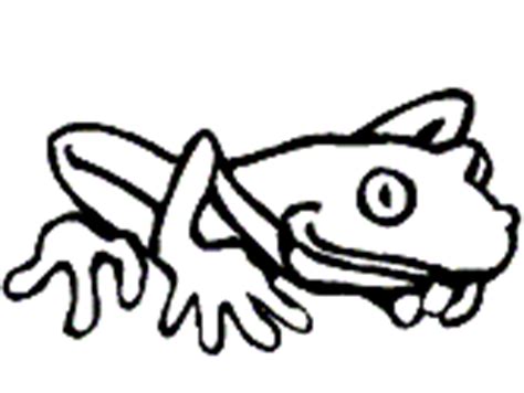 frog  toad species coloring pages