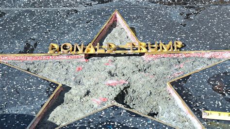 trump s hollywood walk of fame star vandal arrested