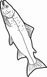 Fish Coloring Pages Realistic Kids Printable Colouring Real Template Trout Print Animal Patterns Drawings Sheets Book Fishing Outline Walleye Books sketch template
