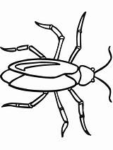 Coloring Cockroach Pages Primarygames Insects Insect Cockroaches Bug Coloringcrew Science sketch template