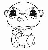 Pet Littlest Manualidades Shops Coloring Pages Choose Board Cartoon sketch template