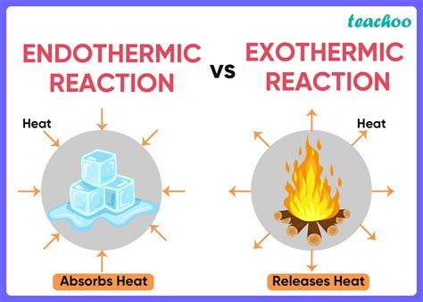 exothermic  endothermic  examples unveiled