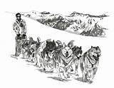 Sledding Sled Schlittenhunde Jungfraujoch Slede Honden Iditarod Mushing sketch template