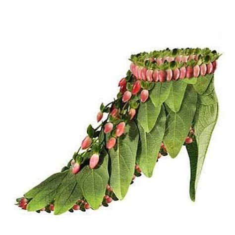 flower shoe  funmagorg