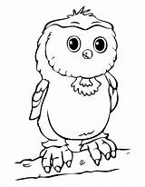 Owl Coloring Pages Baby Cute Printable Cartoon Owls Print Templates Kids Template Clipart Drawing Sheets Preschool Colouring Spectacled Babies Girl sketch template