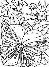 Vlinders Butterflies Kleurplaat Schmetterlinge Malvorlage Vlinder Stimmen Stemmen sketch template