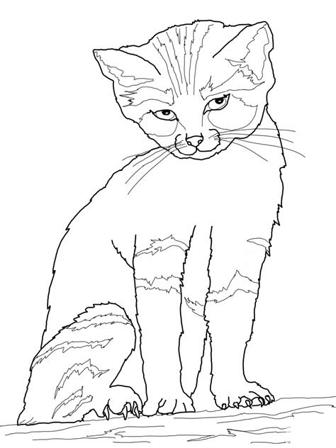 printable cat coloring pages  kids home family style