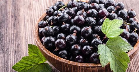currant benefits  black currants fruitsmart