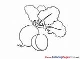 Coloring Radish Pages Printable Vegetables Sheet Title Coloringpagesfree sketch template