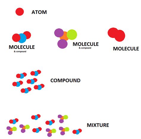 terminology    definition   compound mixture