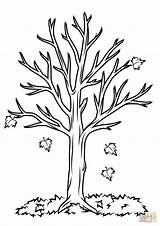 Ausmalen Herbstbaum Kinderbilder sketch template