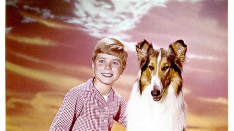lassie where is timmy martin now