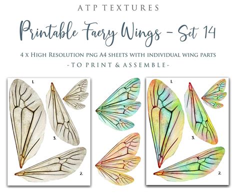 printable fairy wings set scrapbooking clipart digital