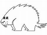 Porcupine Coloring Hedgehog Pages Ws sketch template