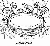 Coloring Nest Pages Clipart Bird Birds Printable Animal Nests Kids Sheet Coloringpagesfortoddlers Sheets Webstockreview sketch template